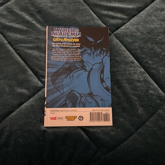 English version - Picture 2 of 2